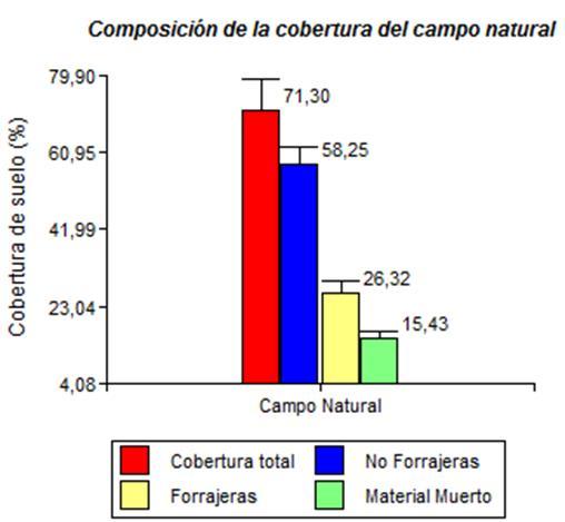 Figura N 8: Composición de la cobertura del campo natural testigo.