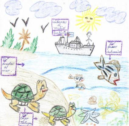 identificación y sensibilidad de los niños hacia la conservación de las iguanas y tortugas marinas como especies indicadoras de la salud de los ecosistemas costeros.