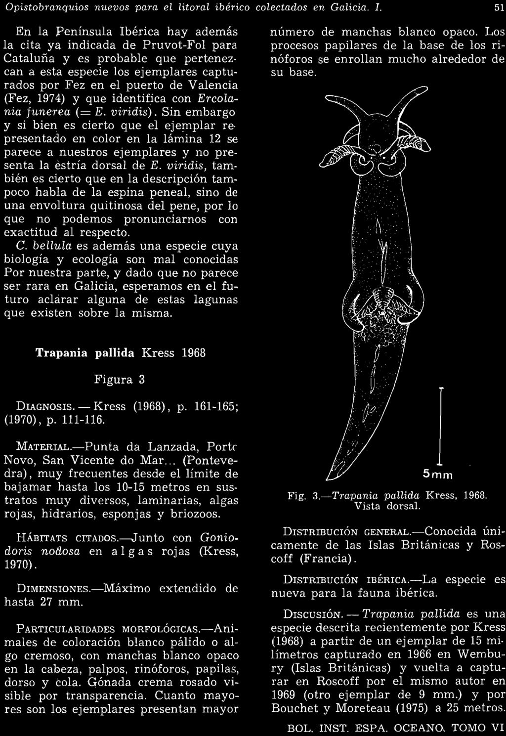 1974) y que identifica con Ercolania funerea (= E. viridis). Sin embargo y si bien es cierto que el eje!