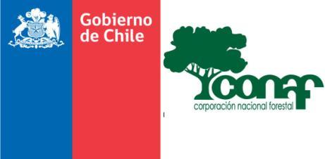 1 Nº 1/2005-50/13 27 de Marzo 2013 GOBIERNO DE CHILE MINISTERIO DE AGRICULTURA CORPORACIÓN NACIONAL FORESTAL I.