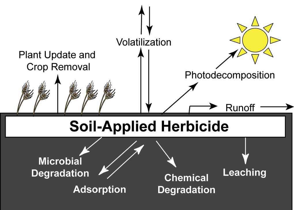 Remoción por las plantas Volatilización Fotodescomposición Escorrentía Herbicidas