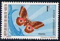 1971 Junio 30 : Mariposas