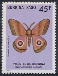 Lepidoptera : Nymphalidae : Charaxinae :