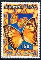 1996 Junio 28 : Mariposas e insectos