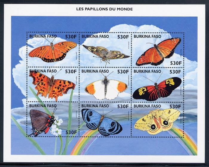 Lepidoptera : Nymphalidae : Heliconinae : Agraulis vanillae + Lepidoptera : Nymphalidae : Junonia coenia + Lepidoptera : Nymphalidae : Danainae : Danaus gilippus + Lepidoptera : Nymphalidae :