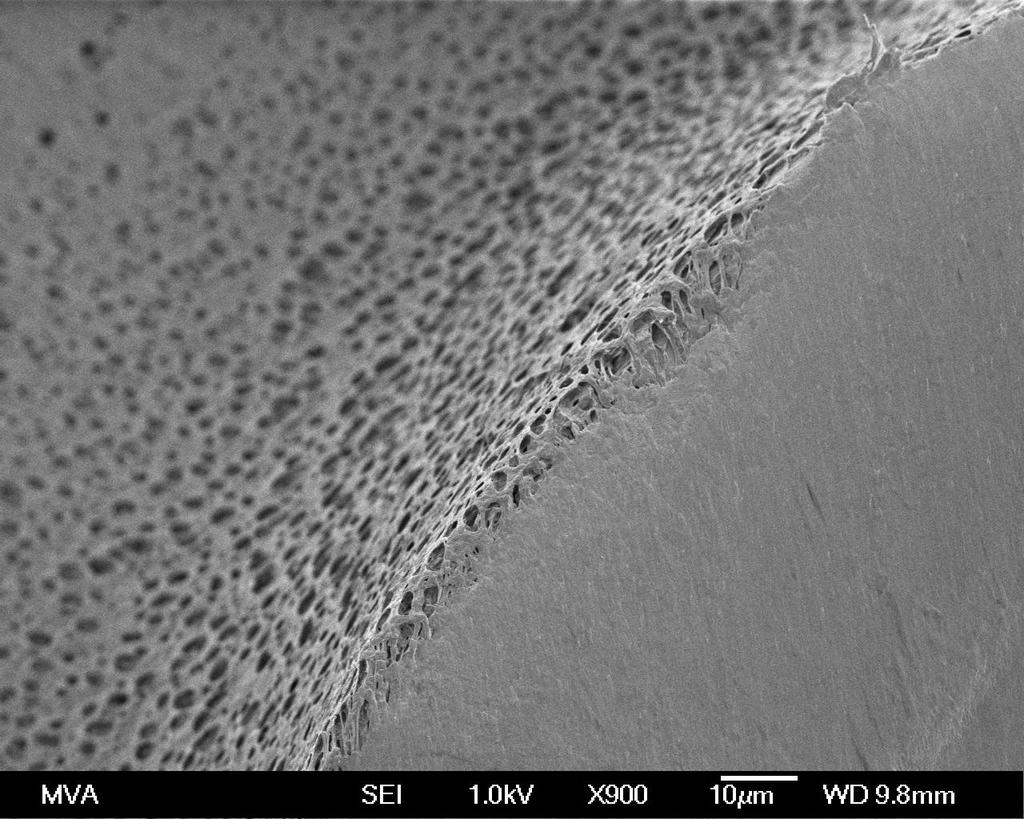 Módulos de Filtro de membrana tubular (Tubular Membrane Filter ) de POREX para el tratamiento y la recuperación de aguas residuales contaminadas por metales MVA SEI 1,0 kv X900 10µm WD 9,8 mm