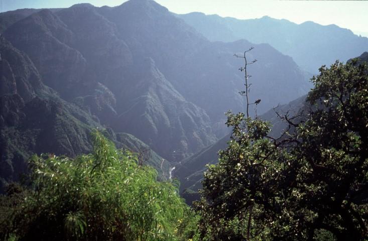 Barranca de Batopilas Profundidad 1,800 metros.
