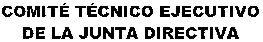 DICE: COMITÉ TÉCNICO EJECUTIVO DE LA JUNTA DIRECTIVA IV.