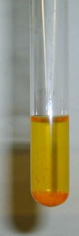 H Reactivo de Dragendorff H 3 C H H H 3 C H En medio ligeramente ácido se forma un complejo insoluble naranja-amarillento de