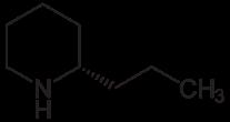 Los alcaloides no oxigenados son líquidos a temperatura ambiente Coniína icotina
