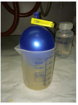 NOTA 2: Para preparar la disolución de azul de bromotimol, seguir el procedimiento siguiente: En una botella de 250 ml, colocar 0.040 g de azul de bromotimol.