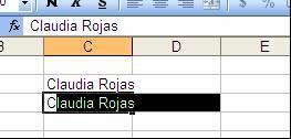 Por ejemplo, digamos que hemos ingresado el nombre Claudia Rojas en la celda A1 y, luego, escribimos la letra C en la celda A2, Excel completará la celda automáticamente con el texto Claudia Rojas.