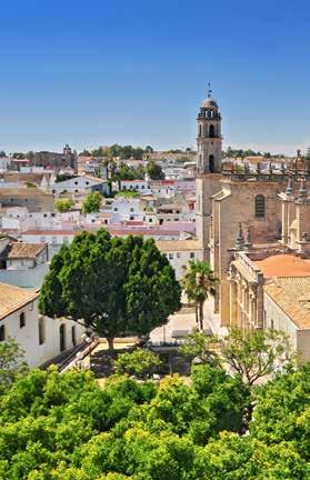 Andalucía, el Guadalquivir y donde tendremos la oportunidad de visitar su casco histórico y tiempo libre para poder degustar sus famosos langostinos de Sanlúcar. Regreso al hotel para el almuerzo.