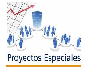 10.- Desarrollo e Implementación de Proyectos Especiales en BD.
