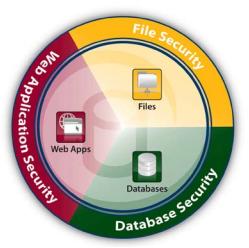 Existen productos galardonados, conocidos como FIREWALL de Security Data base, que automatizan las auditorías de las bases de datos, e identifican de inmediato los ataques, las actividades