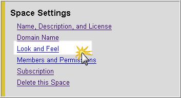 12 Actividad 5: Personalizar Plantilla. Entra en el administrador: Manage Space.
