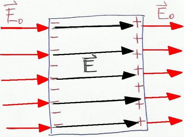 El efecto de alinear los dipolos en el aislante se conoce como polarización y el campo E se conoce como campo de