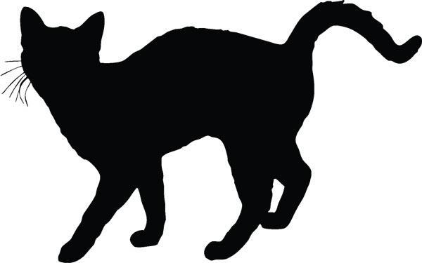 Cistitis intersticial felina Machos Obesos Alteración