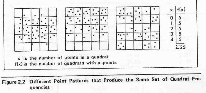 Método de los cuadrado/ recuento por parcelas Explorar un patrón de puntos Fig. en point pattern analysis El análisis de cuadrados no es sensible al arreglo espacial.