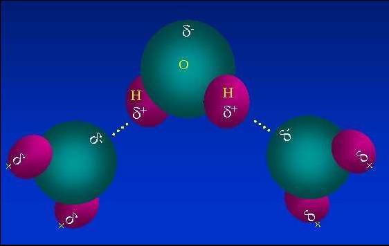 Al ser muy pequeño, ese átomo de hidrógeno desnudo atrae fuertemente (corta