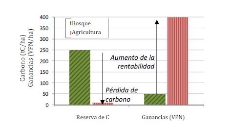 Costos de Oportunidad REDD+ Fuente: World Bank Institute, 2011 Ha de bosque vs. Ha de agricultura Bosque 250 (tc/ha) vs.