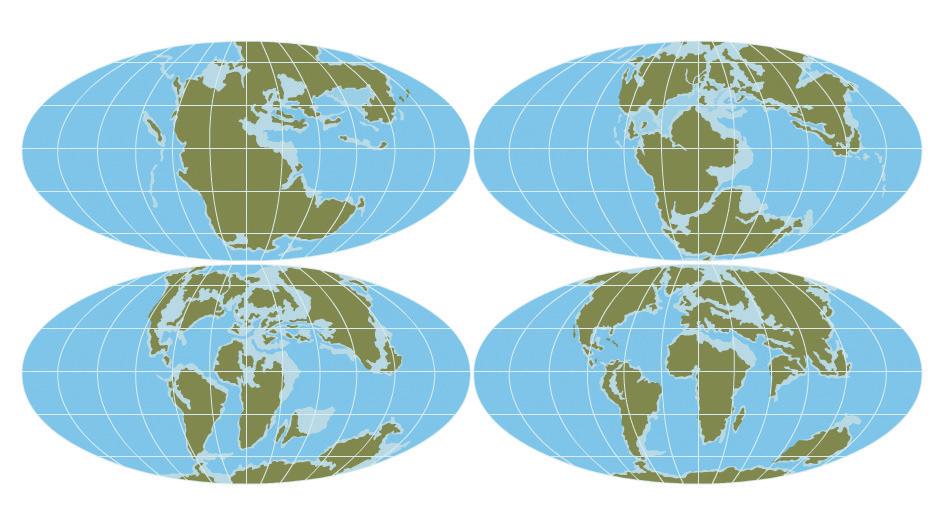 continua en la superficie del globo terrestre. ctualmente existen 6 continentes cuyos nombres son África, mérica, sia, Europa, Oceanía y ntártida. Pero cómo se formaron?