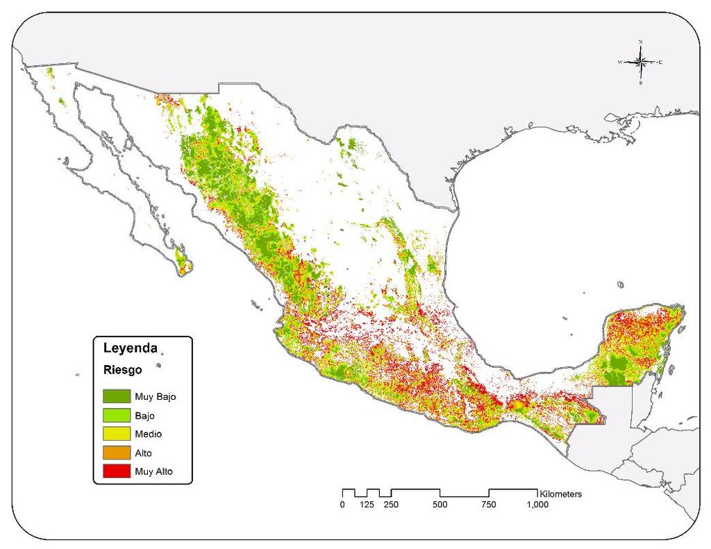 Reducción de la deforestación y focalización Tasa de deforestación y pérdida de miles de hectáreas de bosques en México Indicador 1990-2000 2000-2005 2005-2010 Promedio de pérdida de 354 235 155