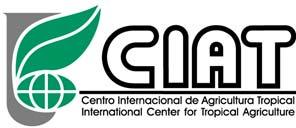 Productores en Centroamérica Análisis