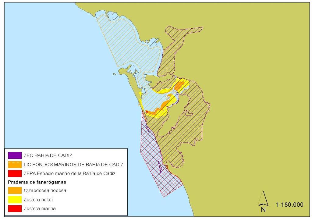 Figura 4. Localización de la ZEPA marina Espacio marino de la Bahía de Cádiz - 6.2.