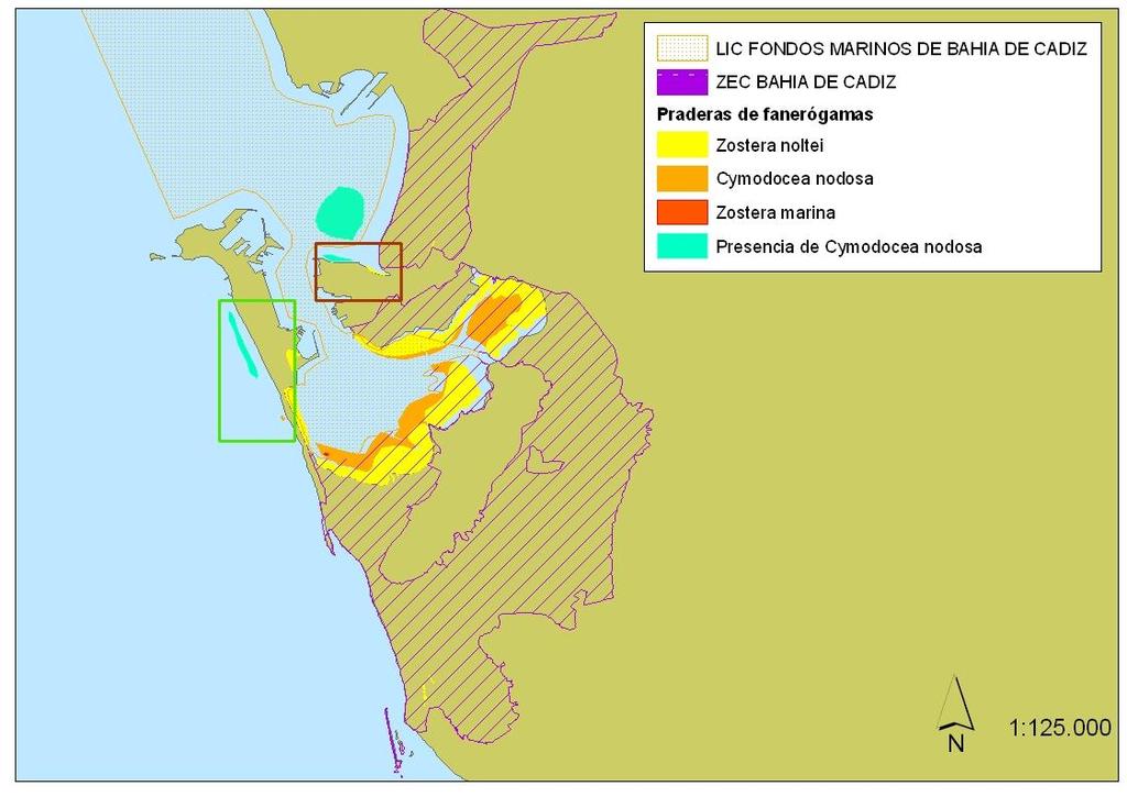Figura 5.. Límites del LIC Fondos Marinos de la Bahía de Cádiz, de la ZEC Bahía de Cádiz y de las praderas de fanerógamas - 6.3. Propuestas de modificación del espacio Figura 6.