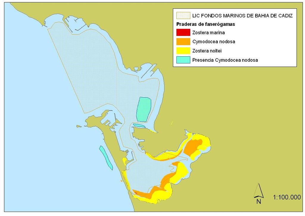 De acuerdo con García-Marín (2013) las praderas del saco interno de la bahía se encuentran en buen estado ecológico, lo que marca un buen potencial para unas aguas costeras muy modificadas.