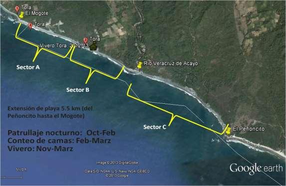 Figura 1: Mapa de sectorización para el monitoreo de tora y otras tortugas marinas en la playa Acayo-Mogote RVS Chacocente, temporada 2012-2013. 5.