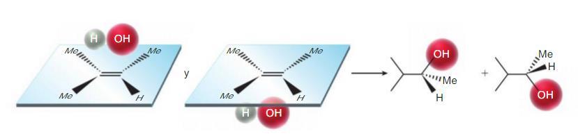 4.7 Reacciones de adición en alquenos Estereoespecificidad El proceso de hidroboración se da de forma concertada por el mismo lado del doble enlace Ataque syn
