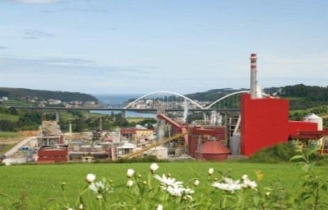 Pulp mill: Biorefinery new products SynGas Methanol DiMethylEther