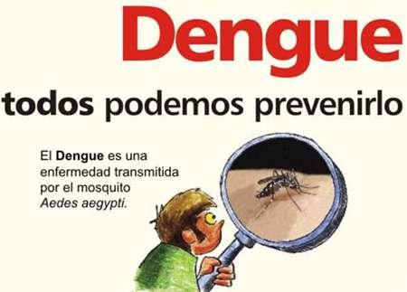 Buscar generar una estrategia que fortalezca el desempeño de los sistemas de salud locales en lo referente a la prevención, control y vigilancia epidemiológica de dengue a través un sistema de