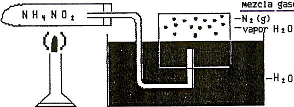 Gases Página - 12 - Ejemplo # 5: RECOLECCIÓN DE UN GAS SOBRE AGUA Una muestra de 2.55 g de nitrito de amonio (NH 4 NO 2 ) se calienta en un tubo de ensayo tal y como lo indica la figura de arriba.
