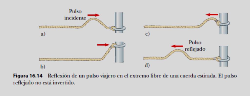 Ahora considere otro caso. Esta vez, el pulso llega al final de una cuerda que es libre de moverse verticalmente, como en la figura 16.14.