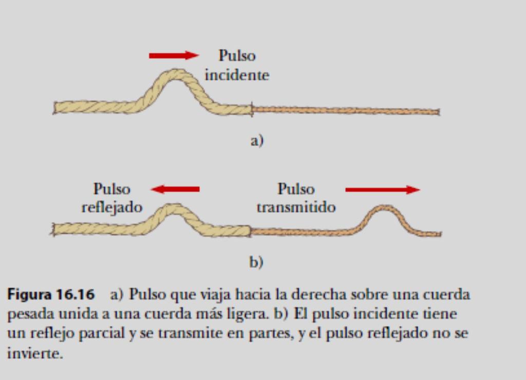 La rapidez de una onda sobre una cuerda aumenta a medida que disminuye la masa por unidad de longitud de la cuerda.