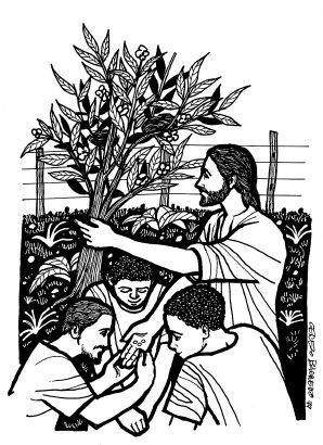 14 de junio del 2015: 11o domingo del Tiempo Ordinario (B) Para el Señor, siempre es tiempo de las semillas, época para sembrar.