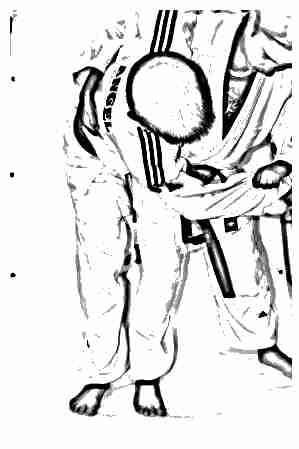 12 Federación Andaluza de Judo y D.A. Todas las técnicas expuestas anteriormente como no permitidas o con limitaciones, tienen sus excepciones como podría ser Uki Goshi.