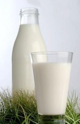 Infrmación General Objetivs específics La prblemática de la prducción de leche en Méxic, pr su imprtancia ecnómica y scial, se cnsidera cm un de ls temas relevantes que deben ser atendids en el marc