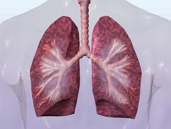 SVV PPV SVRI GEF CFI dpmx Edema pulmonar ELWI PVPI Función