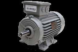 Motores trifásicos IEC en carcasa de hierro eficiencia IE1, IP55 serie 1LE0142 Su motor es muy valioso!