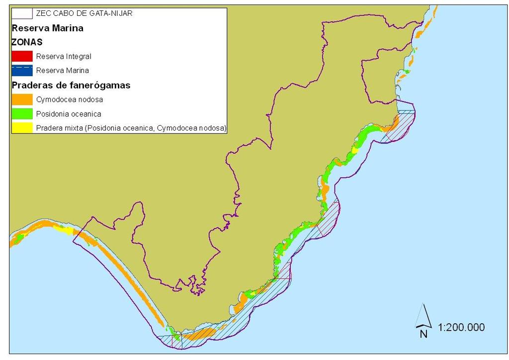 superficie total del Parque y un 38% del total del área marina incluida en él).