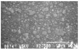 500X) de la superficie de una muestra de resina compuesta después de 156,000 ciclos en una prueba de desgaste mediante tres cuerpos.