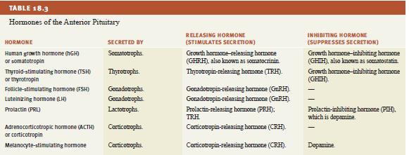 HORMONAS DE ADENOHIPOFISIS 1- GH ( DEL CRECIMIENTO) 2.-PRL ( PROLACTINA ) 3.