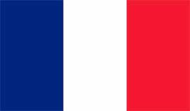 Titulación certificada por EUROINNOVA BUSINESS SCHOOL Curso Superior Francés Avanzado (Nivel Oficial Consejo Europeo B2) Curso Superior Francés Avanzado