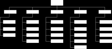 Figura: Organigrama mixto 11 De bloque Son una variante de los verticales que tienen la particularidad de
