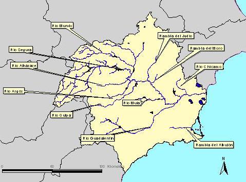 1.1.2. Hidrología. Desde un punto de vista fluvial la Demarcación del Segura está dominado por el río Segura, como único río principal, y el conjunto de sus afluentes.
