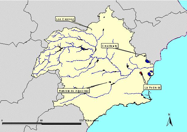 2. Canales. Tan sólo los canales que presenten cierto potencial ecológico (caso del Canal Imperial de Aragón o el Canal de Castilla) se identificarán como masas de agua.